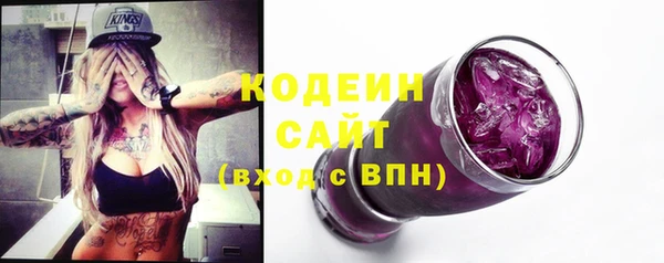 ГАЛЛЮЦИНОГЕННЫЕ ГРИБЫ Вяземский