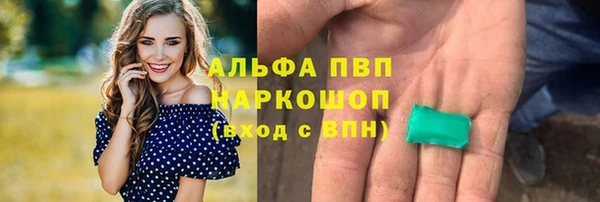 ГАЛЛЮЦИНОГЕННЫЕ ГРИБЫ Вяземский