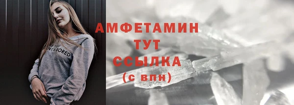 ГАЛЛЮЦИНОГЕННЫЕ ГРИБЫ Вяземский