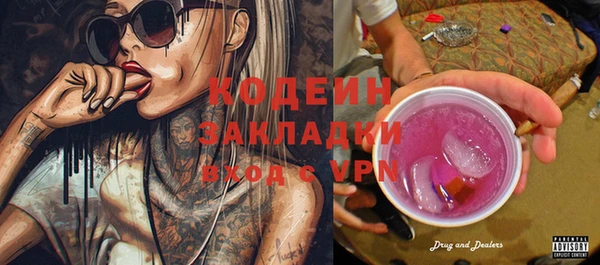 ГАЛЛЮЦИНОГЕННЫЕ ГРИБЫ Вяземский
