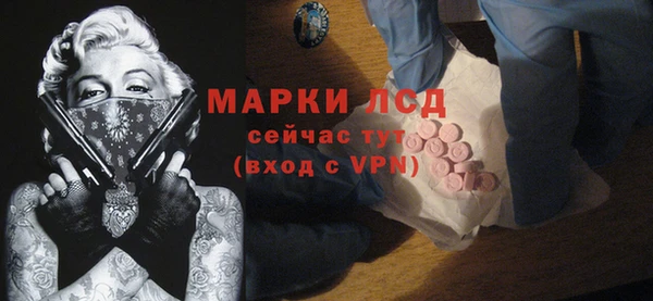 ГАЛЛЮЦИНОГЕННЫЕ ГРИБЫ Вяземский