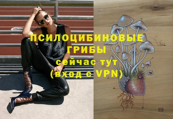 Альфа ПВП Вязники