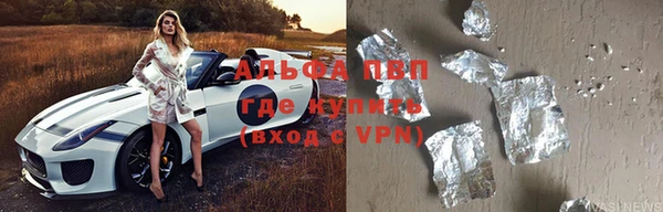 ГАЛЛЮЦИНОГЕННЫЕ ГРИБЫ Вяземский