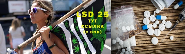 ГАЛЛЮЦИНОГЕННЫЕ ГРИБЫ Вяземский