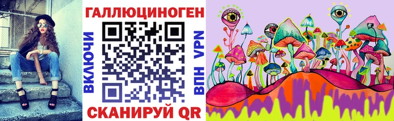 Купить  Карачев  Псилоцибиновые грибы Cubensis 