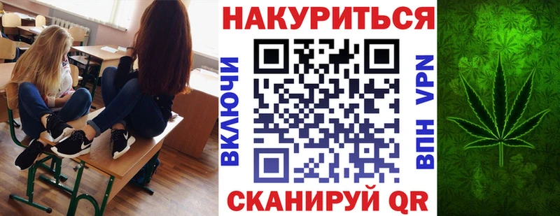 Купить Карачев Канабис семена